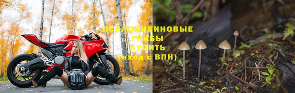 стафф Алексеевка