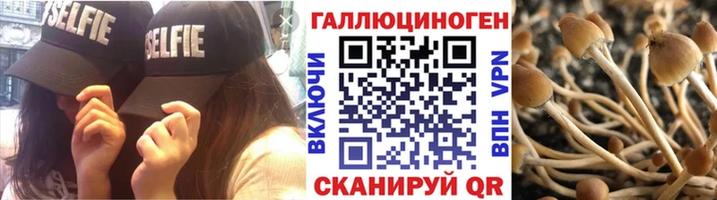 mega сайт  что такое   Порхов  Галлюциногенные грибы прущие грибы 
